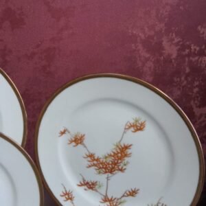 Conjunto de Pratos Japoneses em Porcelana Kutani