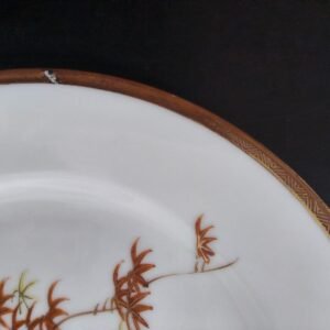 Conjunto de Pratos Japoneses em Porcelana Kutani
