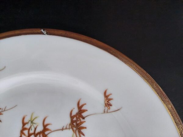 Conjunto de Pratos Japoneses em Porcelana Kutani